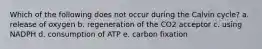 Which of the following does not occur during the Calvin cycle? a. release of oxygen b. regeneration of the CO2 acceptor c. using NADPH d. consumption of ATP e. carbon fixation