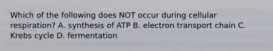 Which of the following does NOT occur during cellular respiration? A. synthesis of ATP B. electron transport chain C. Krebs cycle D. fermentation