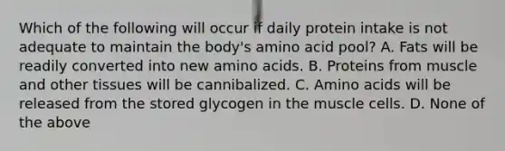 Which of the following will occur if daily protein intake is not adequate to maintain the body's amino acid pool? A. Fats will be readily converted into new amino acids. B. Proteins from muscle and other tissues will be cannibalized. C. Amino acids will be released from the stored glycogen in the muscle cells. D. None of the above