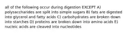 all of the following occur during digestion EXCEPT A) polysaccharides are split into simple sugars B) fats are digested into glycerol and fatty acids C) carbohydrates are broken down into starches D) proteins are broken down into amino acids E) nucleic acids are cleaved into nucleotides