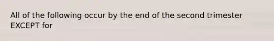 All of the following occur by the end of the second trimester EXCEPT for