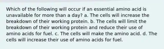 Which of the following will occur if an essential amino acid is unavailable for more than a day? a. The cells will increase the breakdown of their working protein. b. The cells will limit the breakdown of their working protein and reduce their use of amino acids for fuel. c. The cells will make the amino acid. d. The cells will increase their use of amino acids for fuel.