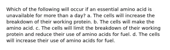 Which of the following will occur if an essential amino acid is unavailable for more than a day? a. The cells will increase the breakdown of their working protein. b. The cells will make the amino acid. c. The cells will limit the breakdown of their working protein and reduce their use of amino acids for fuel. d. The cells will increase their use of amino acids for fuel.