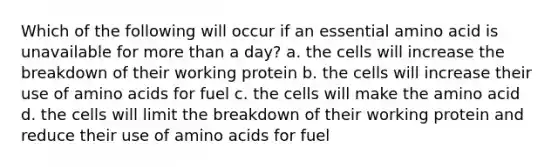 Which of the following will occur if an essential amino acid is unavailable for more than a day? a. the cells will increase the breakdown of their working protein b. the cells will increase their use of amino acids for fuel c. the cells will make the amino acid d. the cells will limit the breakdown of their working protein and reduce their use of amino acids for fuel