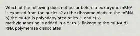 Which of the following does not occur before a eukaryotic mRNA is exposed from the nucleus? a) the ribosome binds to the mRNA b) the mRNA is polyadenylated at its 3' end c) 7-methylguanosine is added in a 5' to 3' linkage to the mRNA d) RNA polymerase dissociates