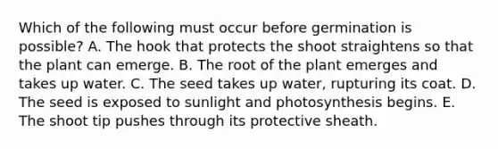 Which of the following must occur before germination is possible? A. The hook that protects the shoot straightens so that the plant can emerge. B. The root of the plant emerges and takes up water. C. The seed takes up water, rupturing its coat. D. The seed is exposed to sunlight and photosynthesis begins. E. The shoot tip pushes through its protective sheath.