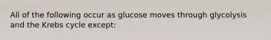 All of the following occur as glucose moves through glycolysis and the Krebs cycle except: