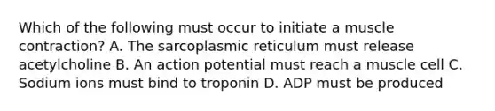 Which of the following must occur to initiate a muscle contraction? A. The sarcoplasmic reticulum must release acetylcholine B. An action potential must reach a muscle cell C. Sodium ions must bind to troponin D. ADP must be produced