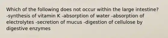 Which of the following does not occur within the large intestine? -synthesis of vitamin K -absorption of water -absorption of electrolytes -secretion of mucus -digestion of cellulose by digestive enzymes