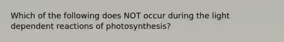 Which of the following does NOT occur during the light dependent reactions of photosynthesis?