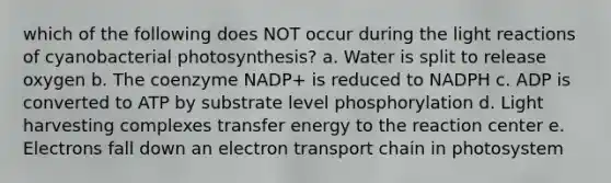 which of the following does NOT occur during the light reactions of cyanobacterial photosynthesis? a. Water is split to release oxygen b. The coenzyme NADP+ is reduced to NADPH c. ADP is converted to ATP by substrate level phosphorylation d. Light harvesting complexes transfer energy to the reaction center e. Electrons fall down an electron transport chain in photosystem