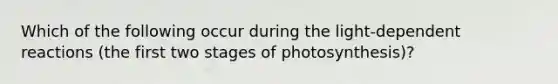 Which of the following occur during the light-dependent reactions (the first two stages of photosynthesis)?