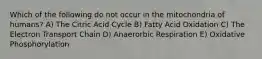 Which of the following do not occur in the mitochondria of humans? A) The Citric Acid Cycle B) Fatty Acid Oxidation C) The Electron Transport Chain D) Anaerorbic Respiration E) Oxidative Phosphorylation