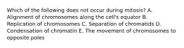 Which of the following does not occur during mitosis? A. Alignment of chromosomes along the cell's equator B. Replication of chromosomes C. Separation of chromatids D. Condensation of chromatin E. The movement of chromosomes to opposite poles