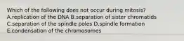 Which of the following does not occur during mitosis? A.replication of the DNA B.separation of sister chromatids C.separation of the spindle poles D.spindle formation E.condensation of the chromosomes