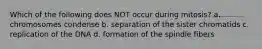 Which of the following does NOT occur during mitosis? a. chromosomes condense b. separation of the sister chromatids c. replication of the DNA d. formation of the spindle fibers