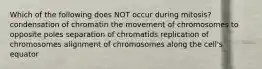 Which of the following does NOT occur during mitosis? condensation of chromatin the movement of chromosomes to opposite poles separation of chromatids replication of chromosomes alignment of chromosomes along the cell's equator