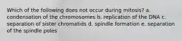 Which of the following does not occur during mitosis? a. condensation of the chromosomes b. replication of the DNA c. separation of sister chromatids d. spindle formation e. separation of the spindle poles