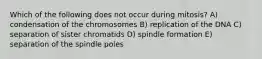 Which of the following does not occur during mitosis? A) condensation of the chromosomes B) replication of the DNA C) separation of sister chromatids D) spindle formation E) separation of the spindle poles