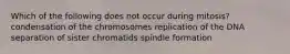 Which of the following does not occur during mitosis? condensation of the chromosomes replication of the DNA separation of sister chromatids spindle formation