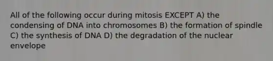 All of the following occur during mitosis EXCEPT A) the condensing of DNA into chromosomes B) the formation of spindle C) the synthesis of DNA D) the degradation of the nuclear envelope