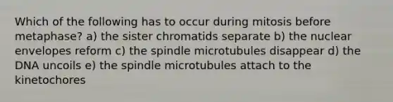 Which of the following has to occur during mitosis before metaphase? a) the sister chromatids separate b) the nuclear envelopes reform c) the spindle microtubules disappear d) the DNA uncoils e) the spindle microtubules attach to the kinetochores