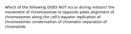 Which of the following DOES NOT occur during mitosis? the movement of chromosomes to opposite poles alignment of chromosomes along the cell's equator replication of chromosomes condensation of chromatin separation of chromatids