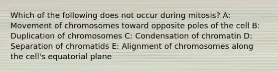 Which of the following does not occur during mitosis? A: Movement of chromosomes toward opposite poles of the cell B: Duplication of chromosomes C: Condensation of chromatin D: Separation of chromatids E: Alignment of chromosomes along the cell's equatorial plane