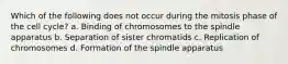 Which of the following does not occur during the mitosis phase of the cell cycle? a. Binding of chromosomes to the spindle apparatus b. Separation of sister chromatids c. Replication of chromosomes d. Formation of the spindle apparatus