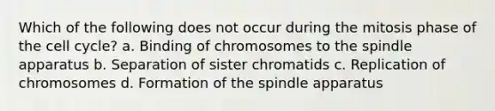 Which of the following does not occur during the mitosis phase of the cell cycle? a. Binding of chromosomes to the spindle apparatus b. Separation of sister chromatids c. Replication of chromosomes d. Formation of the spindle apparatus