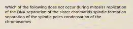 Which of the following does not occur during mitosis? replication of the DNA separation of the sister chromatids spindle formation separation of the spindle poles condensation of the chromosomes