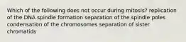 Which of the following does not occur during mitosis? replication of the DNA spindle formation separation of the spindle poles condensation of the chromosomes separation of sister chromatids