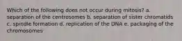 Which of the following does not occur during mitosis? a. separation of the centrosomes b. separation of sister chromatids c. spindle formation d. replication of the DNA e. packaging of the chromosomes