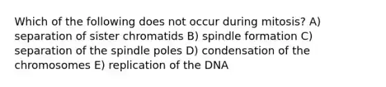 Which of the following does not occur during mitosis? A) separation of sister chromatids B) spindle formation C) separation of the spindle poles D) condensation of the chromosomes E) replication of the DNA