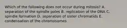 Which of the following does not occur during mitosis? A. separation of the spindle poles B. replication of the DNA C. spindle formation D. separation of sister chromatids E. condensation of the chromosomes