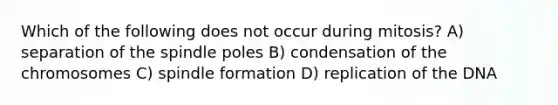 Which of the following does not occur during mitosis? A) separation of the spindle poles B) condensation of the chromosomes C) spindle formation D) replication of the DNA