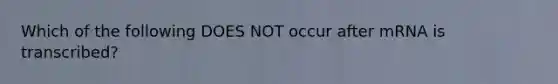 Which of the following DOES NOT occur after mRNA is transcribed?