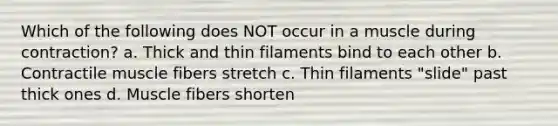 Which of the following does NOT occur in a muscle during contraction? a. Thick and thin filaments bind to each other b. Contractile muscle fibers stretch c. Thin filaments "slide" past thick ones d. Muscle fibers shorten