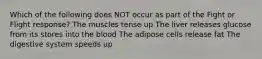 Which of the following does NOT occur as part of the Fight or Flight response? The muscles tense up The liver releases glucose from its stores into the blood The adipose cells release fat The digestive system speeds up