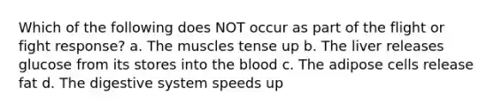 Which of the following does NOT occur as part of the flight or fight response? a. The muscles tense up b. The liver releases glucose from its stores into the blood c. The adipose cells release fat d. The digestive system speeds up