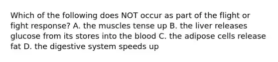 Which of the following does NOT occur as part of the flight or fight response? A. the muscles tense up B. the liver releases glucose from its stores into the blood C. the adipose cells release fat D. the digestive system speeds up