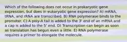 Which of the following does not occur in prokaryotic gene expression, but does in eukaryotic gene expression? A) mRNA, tRNA, and rRNA are transcribed. B) RNA polymerase binds to the promoter. C) A poly-A tail is added to the 3' end of an mRNA and a cap is added to the 5' end. D) Transcription can begin as soon as translation has begun even a little. E) RNA polymerase requires a primer to elongate the molecule.