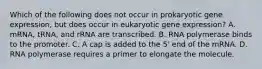 Which of the following does not occur in prokaryotic gene expression, but does occur in eukaryotic gene expression? A. mRNA, tRNA, and rRNA are transcribed. B. RNA polymerase binds to the promoter. C. A cap is added to the 5' end of the mRNA. D. RNA polymerase requires a primer to elongate the molecule.