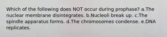 Which of the following does NOT occur during prophase? a.The nuclear membrane disintegrates. b.Nucleoli break up. c.The spindle apparatus forms. d.The chromosomes condense. e.DNA replicates.