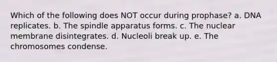 Which of the following does NOT occur during prophase? a. DNA replicates. b. The spindle apparatus forms. c. The nuclear membrane disintegrates. d. Nucleoli break up. e. The chromosomes condense.