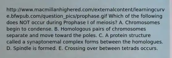 http://www.macmillanhighered.com/externalcontent/learningcurve.bfwpub.com/question_pics/prophase.gif Which of the following does NOT occur during Prophase I of meiosis? A. Chromosomes begin to condense. B. Homologous pairs of chromosomes separate and move toward the poles. C. A protein structure called a synaptonemal complex forms between the homologues. D. Spindle is formed. E. Crossing over between tetrads occurs.