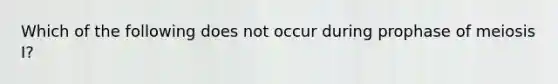 Which of the following does not occur during prophase of meiosis I?