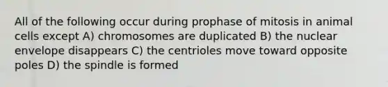 All of the following occur during prophase of mitosis in animal cells except A) chromosomes are duplicated B) the nuclear envelope disappears C) the centrioles move toward opposite poles D) the spindle is formed