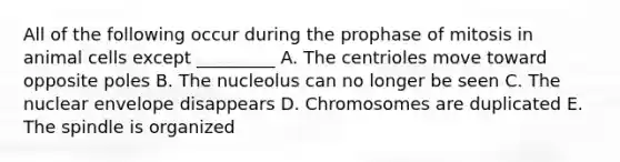 All of the following occur during the prophase of mitosis in animal cells except _________ A. The centrioles move toward opposite poles B. The nucleolus can no longer be seen C. The nuclear envelope disappears D. Chromosomes are duplicated E. The spindle is organized