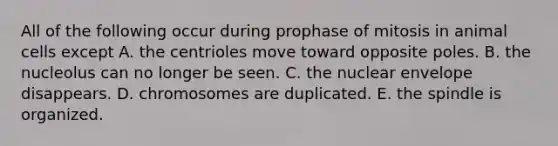 All of the following occur during prophase of mitosis in animal cells except A. the centrioles move toward opposite poles. B. the nucleolus can no longer be seen. C. the nuclear envelope disappears. D. chromosomes are duplicated. E. the spindle is organized.